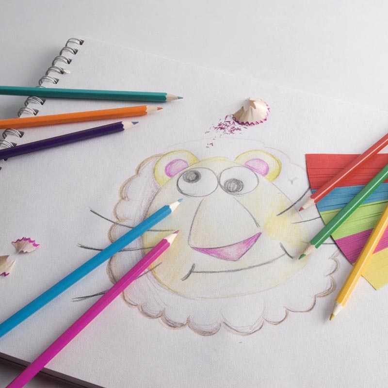 Topwrite - dvipusių pieštukų rinkinys 24 spalvos / 12 vnt.