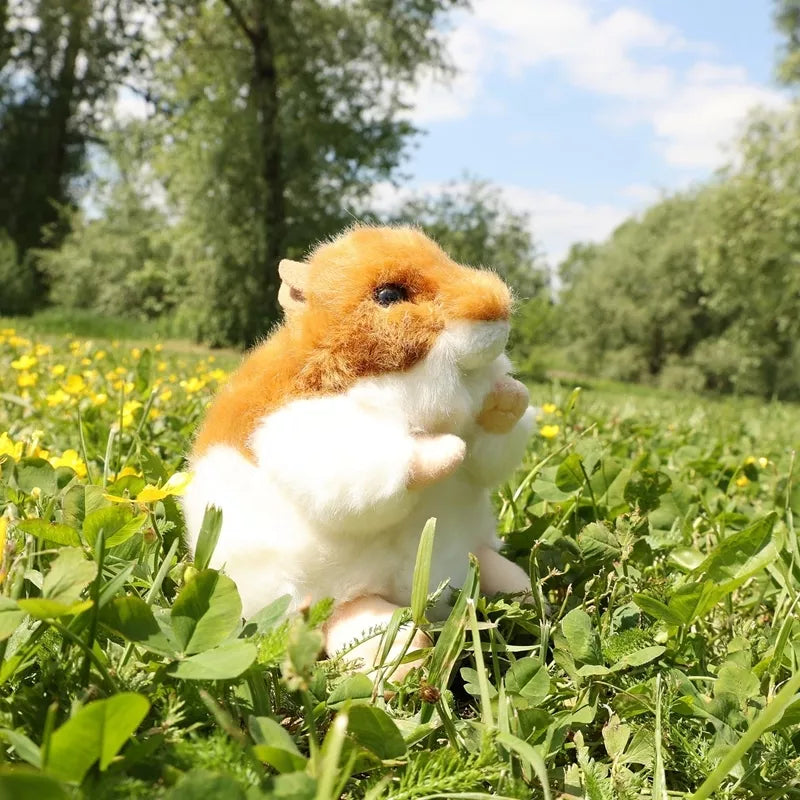 Rappa - Pliušinis, 13 cm, Ekologiškas, Realistiškas Sėdintis Žiurkėnas