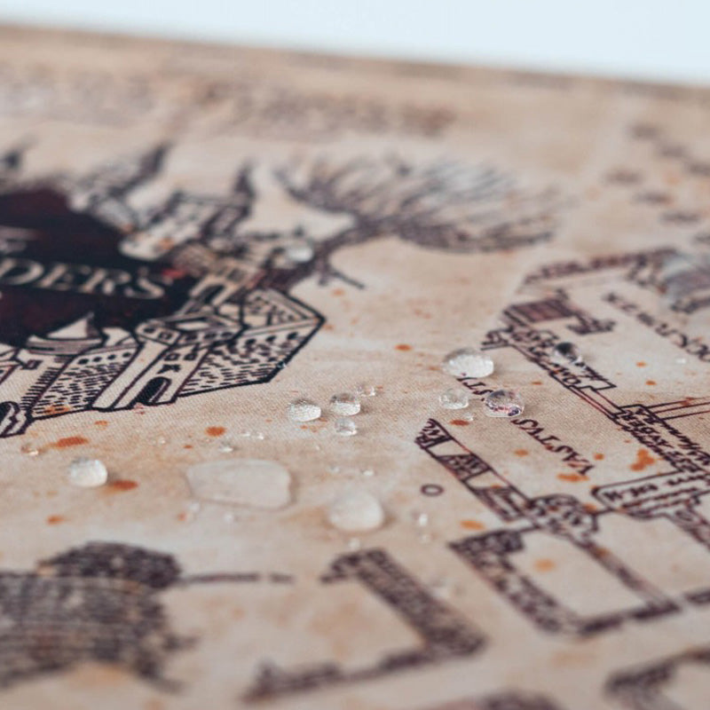 Hario Poteris – Didelis žaidimų/stalo kilimėlis „Huncwot“ žemėlapis (80 x 35 cm)