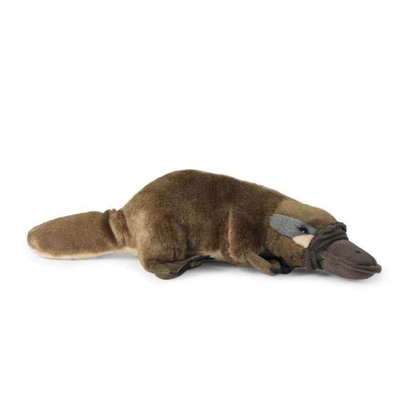 Rappa - Pliušinis realistiškas žaislas ančiasnapis 30 cm ekologiškas