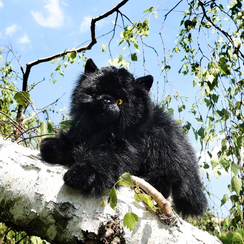 Rappa - Pliušinis tikroviškas žaislas Gulinis juodas katinas 30 cm, ekologiškas
