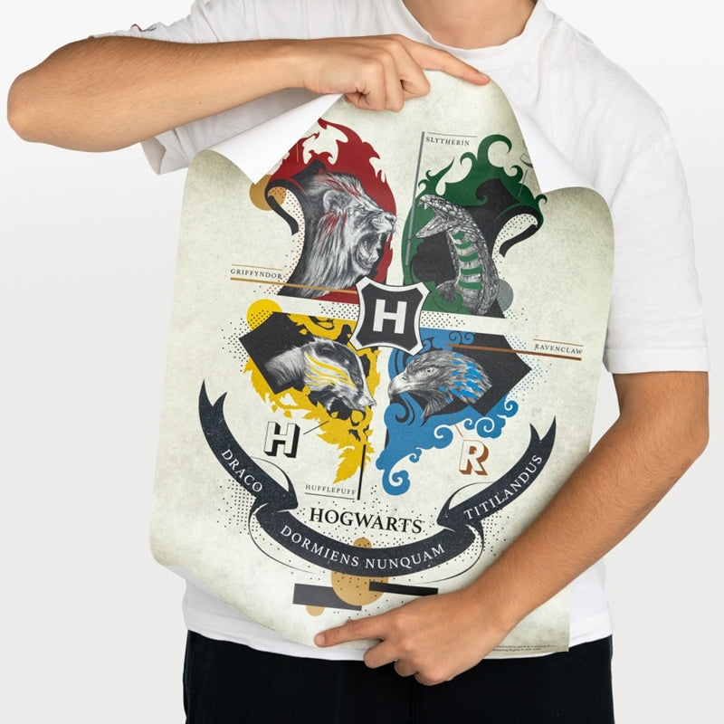 Haris Poteris - 2 sieninių plakatų rinkinys (38 x 52 cm)