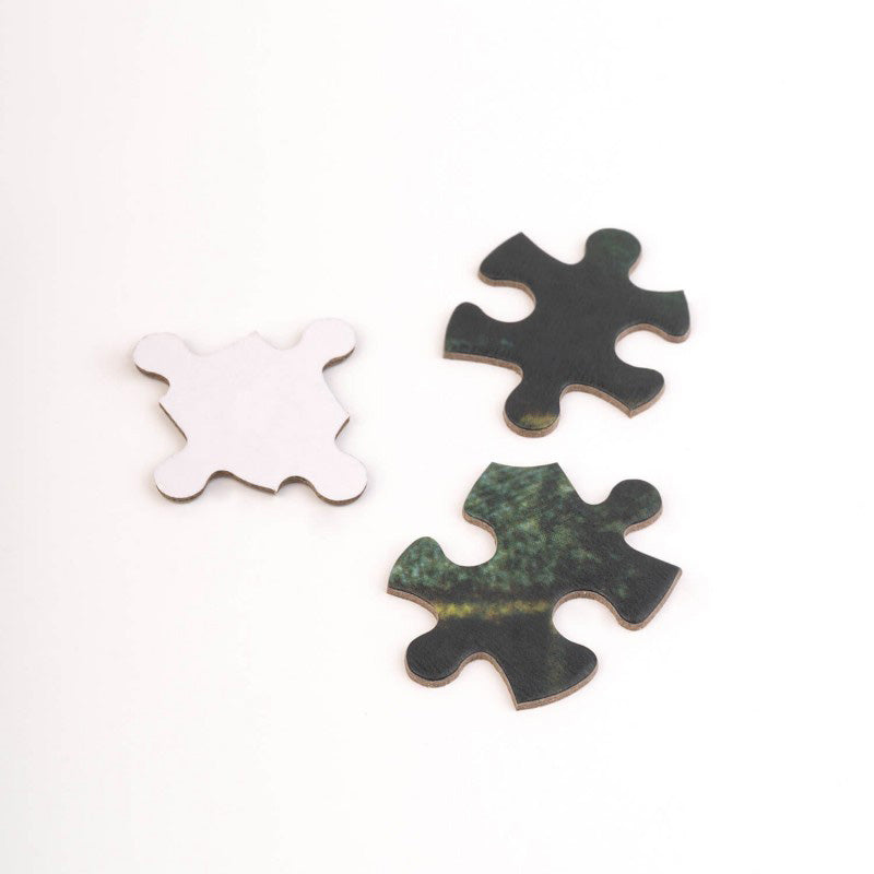 Hario Poteris – 500 detalių dėlionių dekoratyvinėje dėžutėje (Haris Poteris ir Paslapčių kambarys)