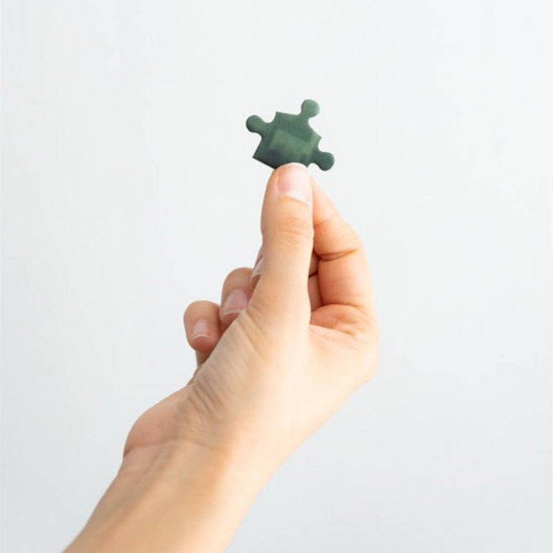 Hario Poteris – 500 detalių dėlionių dekoratyvinėje dėžutėje (Haris Poteris ir Paslapčių kambarys)