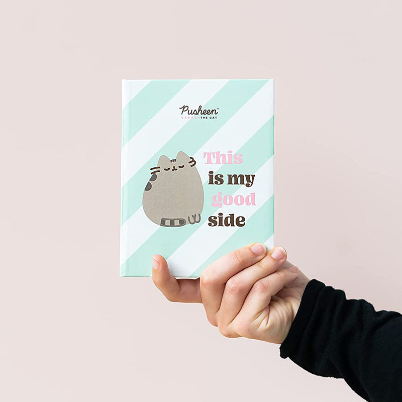 Pusheen – 100 nuotraukų albumas 10x15 cm
