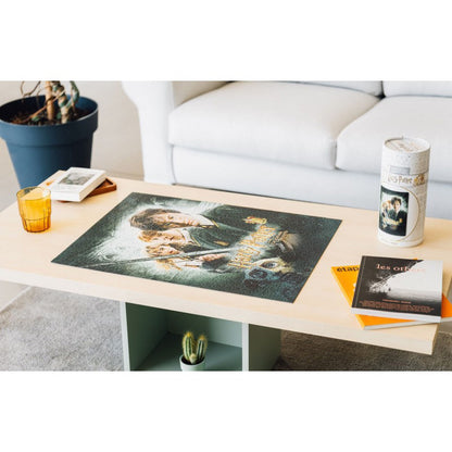 Hario Poteris – 500 detalių dėlionių dekoratyvinėje dėžutėje (Haris Poteris ir Paslapčių kambarys)