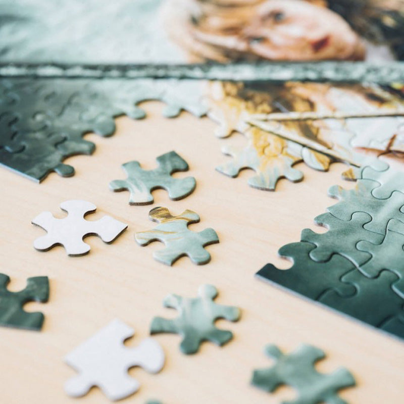 Hario Poteris – 500 detalių dėlionių dekoratyvinėje dėžutėje (Haris Poteris ir Paslapčių kambarys)