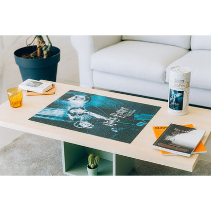 Haris Poteris – 500 dalių galvosūkiai dekoratyvinėje dėžutėje („Haris Poteris ir Azkabano kalinys“)