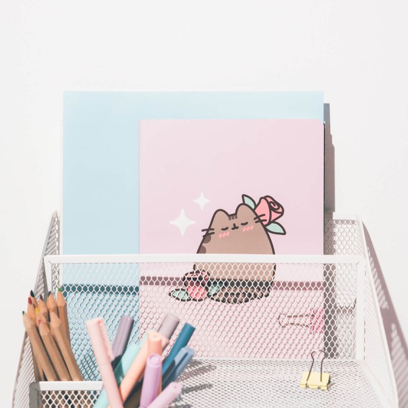 Pusheen - A5 sąsiuvinių rinkinys iš "Moments" kolekcijos (3 vnt.)