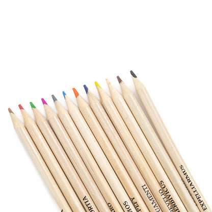 Hario Poteris – pieštukų rinkinys tūbelėje su 12 pieštukų ir drožtuku („Hogvartas“)