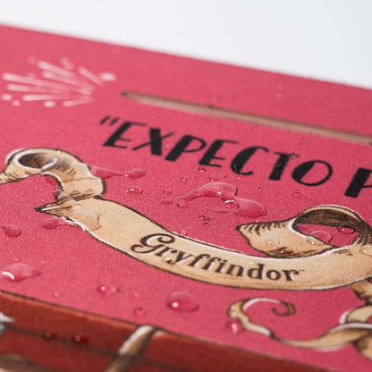 Hario Poterio – žaidimų kilimėlis / stalo kilimėlis XXL