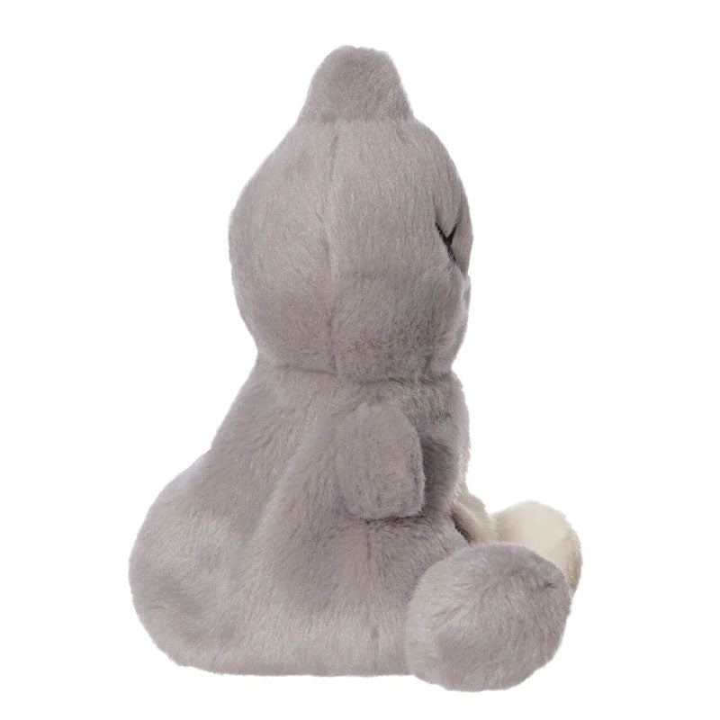 Line Friends BT21 – Pliušinis talismanas 13 cm VAN Palm Pals