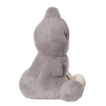 Line Friends BT21 – Pliušinis talismanas 13 cm VAN Palm Pals