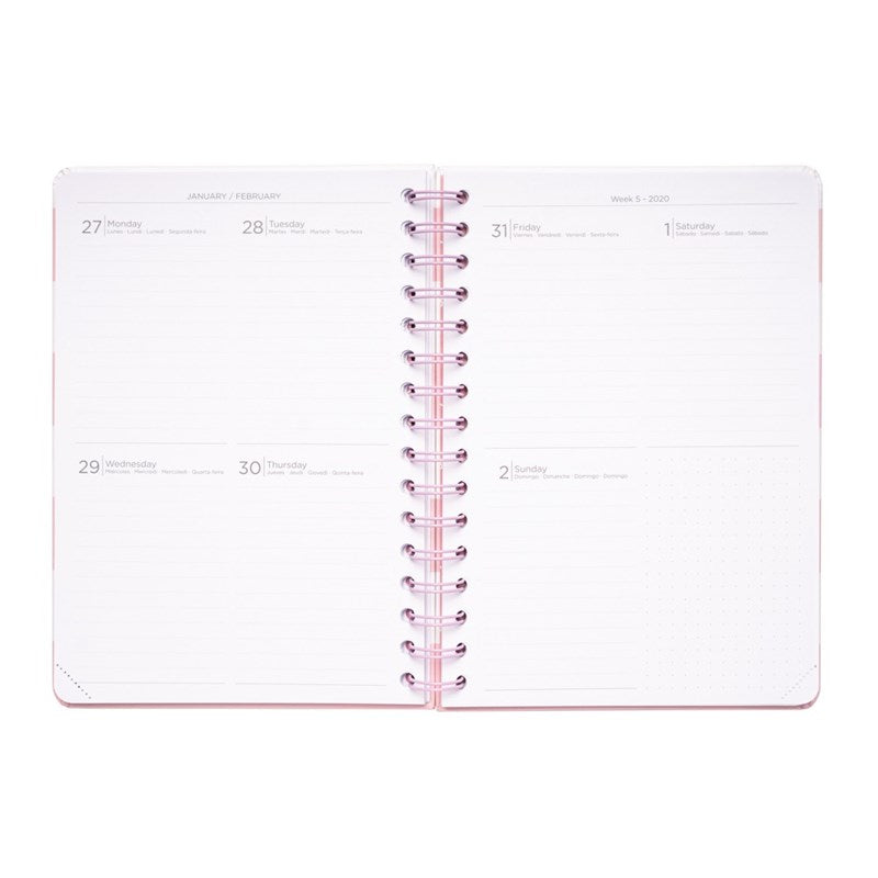 Pusheen – Planuoklis 2019/2020 (14 x 16 cm)