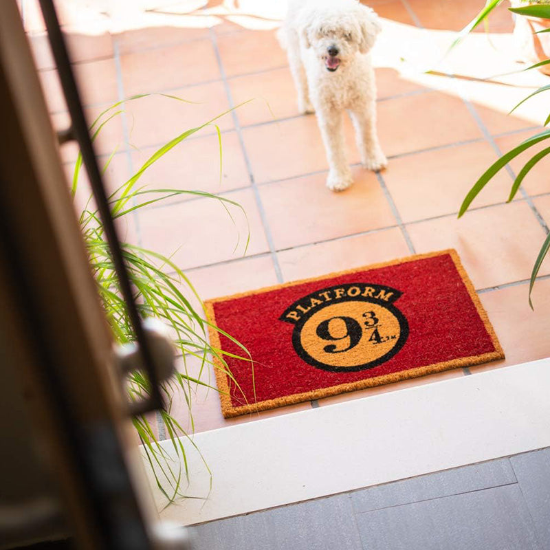 Hario Poteris - durų kilimėlis (40 x 60 cm)