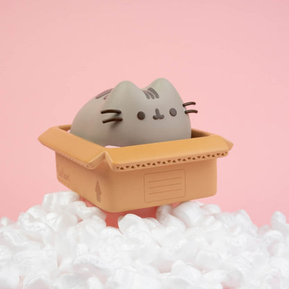 Pusheen - Mielas vinilinis taupyklė