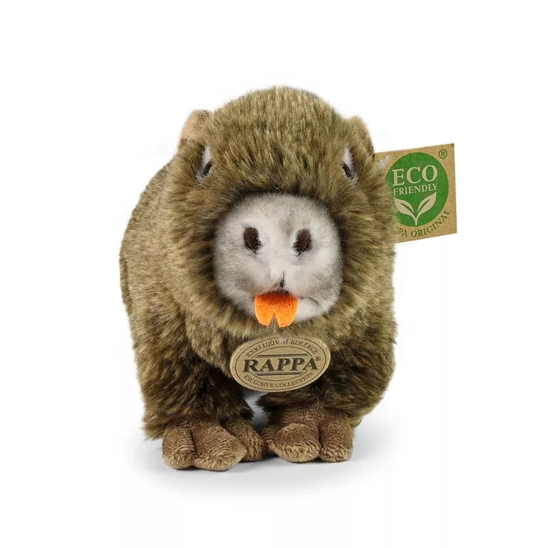 Minkštas tikroviškas žaislas Ūdra 27 cm Ekologiškas - Rappa